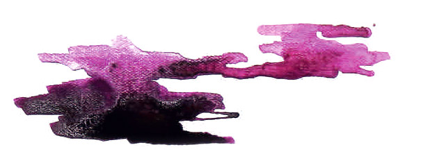 bild6