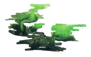 bild7